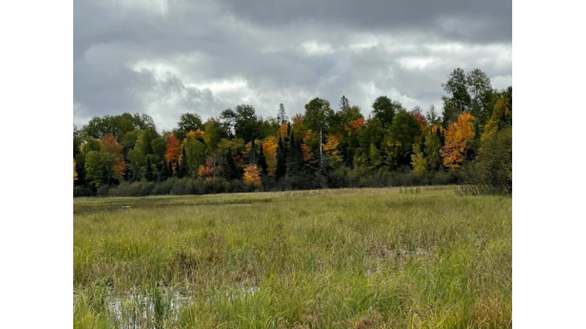 12.8 AC State Line Road Presque Isle, WI 54557 by Absolute Realtors - Phone: 715-610-2393 $59,900