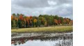 12.8 AC State Line Road Presque Isle, WI 54557 by Absolute Realtors - Phone: 715-610-2393 $59,900