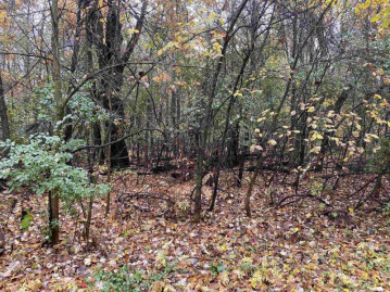 Lot 3 Clark Street, Stevens Point, WI 54482