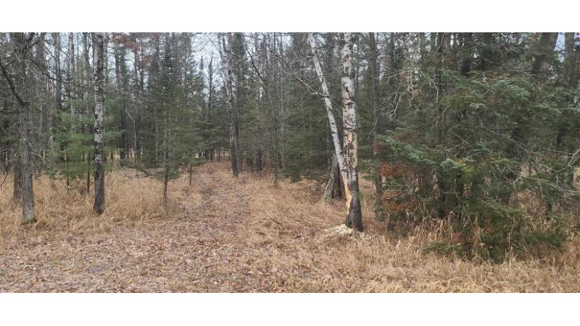 80 ACRES County Road I Rosholt, WI 54473 by Top Choice Realty Llc - Cell: 715-340-9470 $260,000