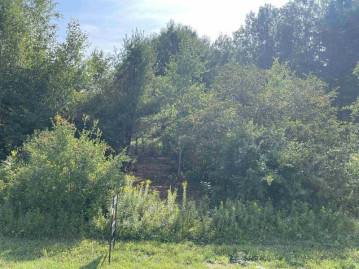 Lot 2 Gavitt Street, Ringle, WI 54476