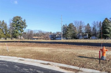 Lot 28 Daniels Addition, Marshfield, WI 54449