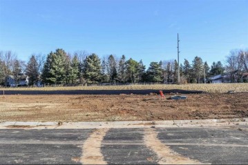 Lot 29 Daniels Addition, Marshfield, WI 54449