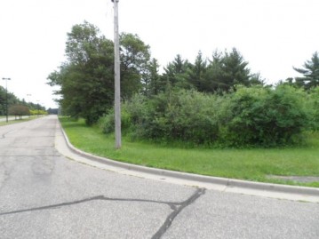 Lot #1 Apple Street, Wisconsin Rapids, WI 54494