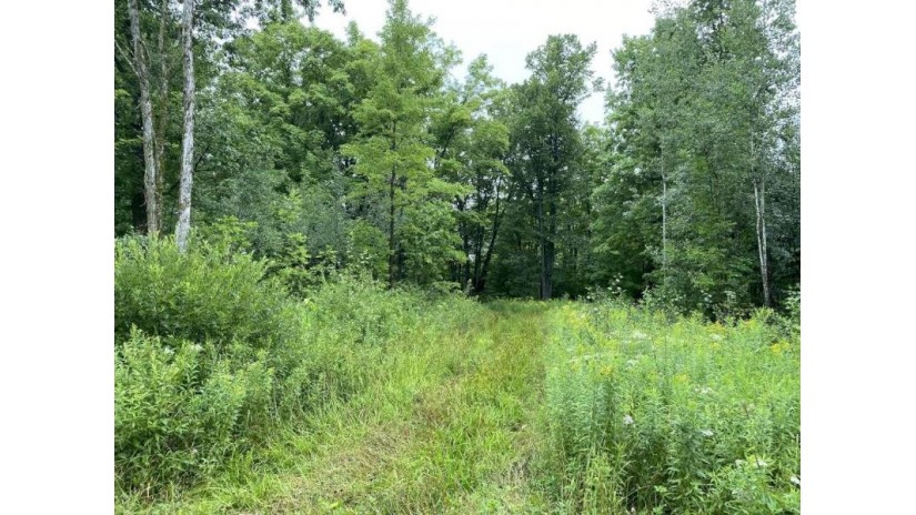 ON Joe Snow Road Sale 2043-5 Merrill, WI 54452 by Steigerwaldt Land Sales, Llc - todd.frederickson@steigerwaldt.com $216,000