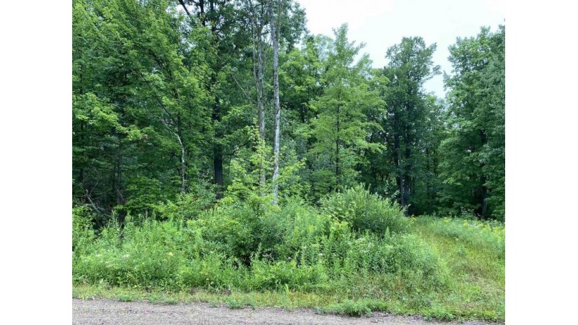 ON Joe Snow Road Sale 2043-5 Merrill, WI 54452 by Steigerwaldt Land Sales, Llc - todd.frederickson@steigerwaldt.com $216,000