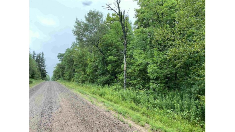 ON Joe Snow Road Sale 2043-4 Merrill, WI 54452 by Steigerwaldt Land Sales, Llc - todd.frederickson@steigerwaldt.com $216,000