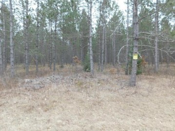 Lot 2 Brown Creek Road, Tomahawk, WI 54487