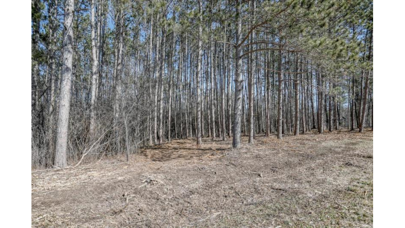 13.45 ACRES Golf Drive Merrill, WI 54452 by Coldwell Banker Action - Main: 715-359-0521 $194,900