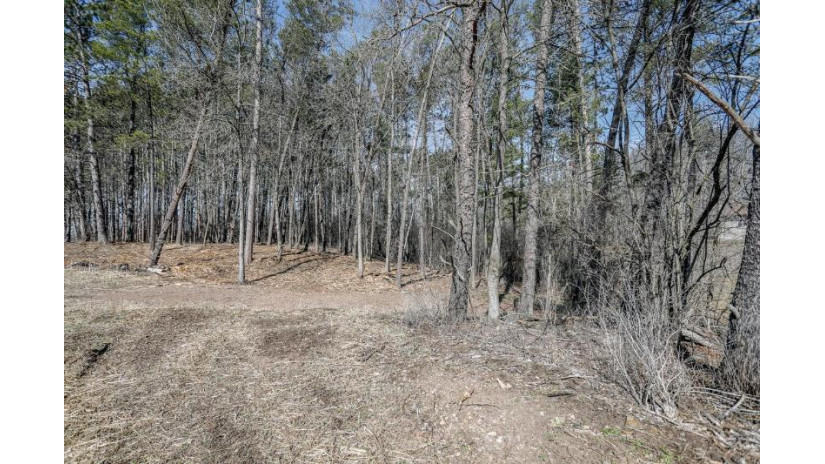 13.45 ACRES Golf Drive Merrill, WI 54452 by Coldwell Banker Action - Main: 715-359-0521 $194,900