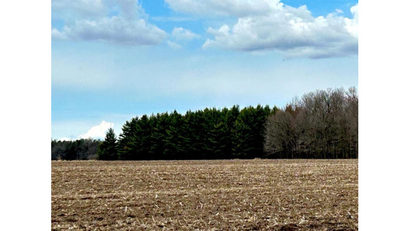 Lot 1 & 2 Klondike Drive Marshfield, WI 54449 by Re/Max American Dream - Phone: 715-506-0610 $425,000