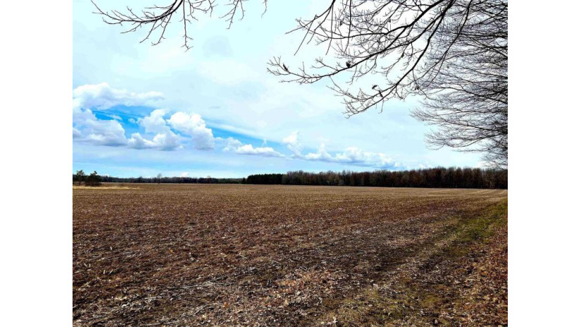 Lot 1 & 2 Klondike Drive Marshfield, WI 54449 by Re/Max American Dream - Phone: 715-506-0610 $425,000