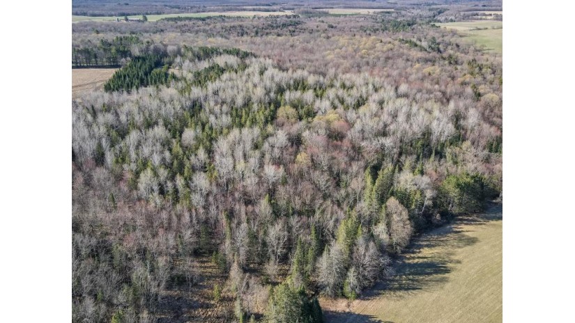 46 Acres MOL Eau Claire River Road Aniwa, WI 54408 by Coldwell Banker Action - Main: 715-359-0521 $249,900