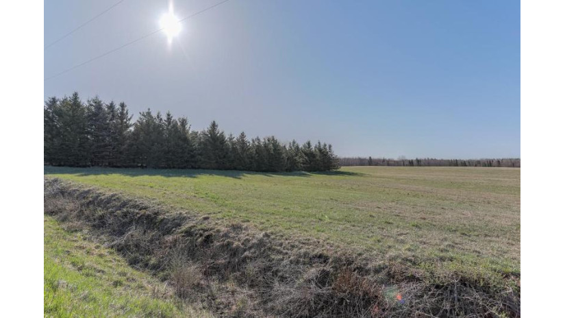 46 Acres MOL Eau Claire River Road Aniwa, WI 54408 by Coldwell Banker Action - Main: 715-359-0521 $249,900