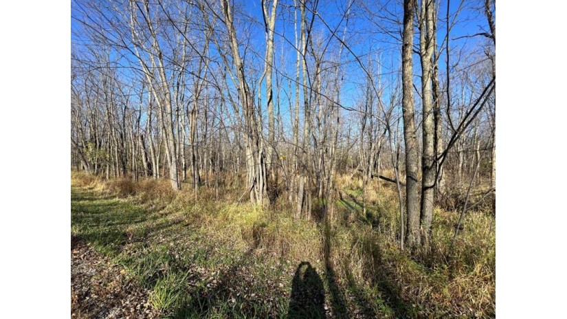 LOT 1 County Rd X Brussels, WI 54204 by Cb  Real Estate Group Egg Harbor - 9208682002 $77,250