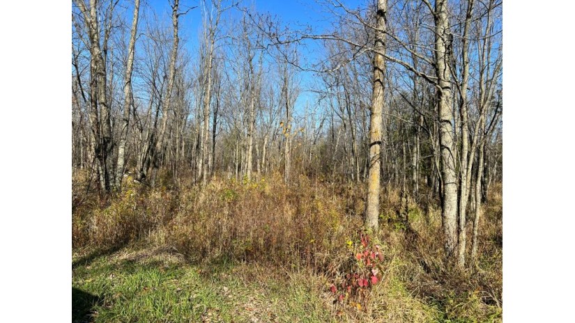 LOT 1 County Rd X Brussels, WI 54204 by Cb  Real Estate Group Egg Harbor - 9208682002 $77,250