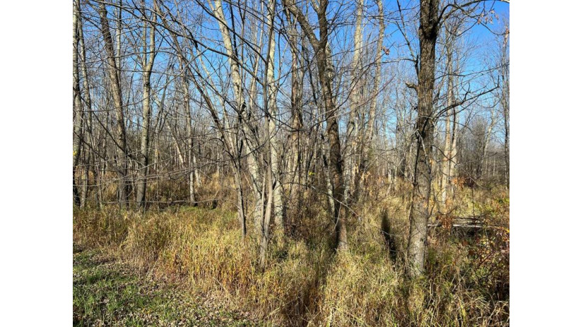 LOT 1 County Rd X Brussels, WI 54204 by Cb  Real Estate Group Egg Harbor - 9208682002 $77,250