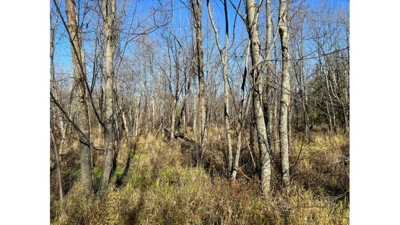 LOT 1 County Rd X Brussels, WI 54204 by Cb  Real Estate Group Egg Harbor - 9208682002 $77,250