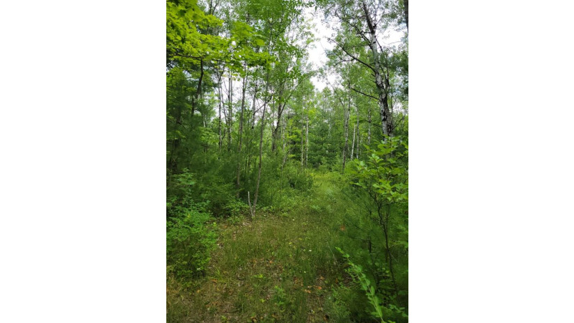 TBD Wayside Rd Egg Harbor, WI 54209 by Harbour Real Estate Group Llc - 9207435330 $395,000