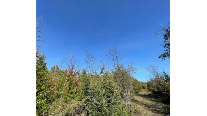 TBD Hwy 42 Sister Bay, WI 54234 by Kellstrom-Ray Agency - 9208542353 $239,900