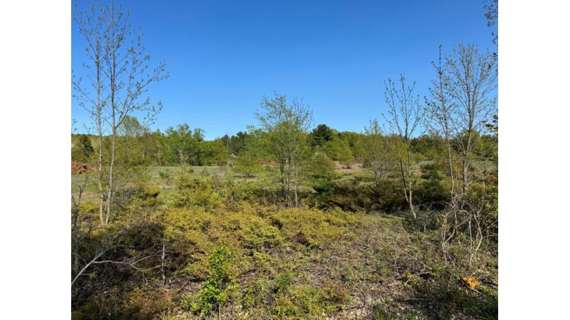 LOT 2 Division Rd Egg Harbor, WI 54209 by Cb  Real Estate Group Egg Harbor - 9208682002 $175,000