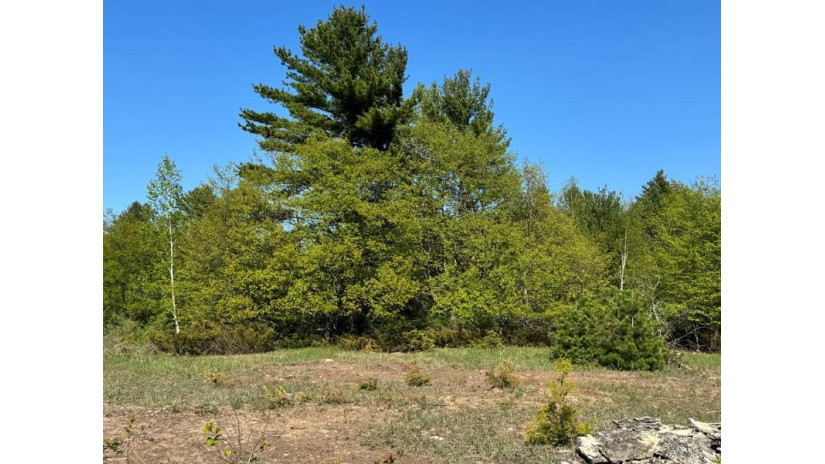 LOT 2 Division Rd Egg Harbor, WI 54209 by Cb  Real Estate Group Egg Harbor - 9208682002 $175,000