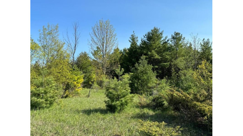 LOT 4 Division Rd Egg Harbor, WI 54209 by Cb  Real Estate Group Egg Harbor - 9208682002 $170,000