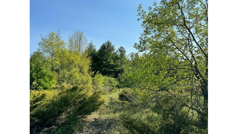 LOT 4 Division Rd Egg Harbor, WI 54209 by Cb  Real Estate Group Egg Harbor - 9208682002 $170,000