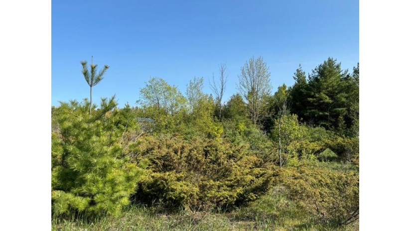 LOT 4 Division Rd Egg Harbor, WI 54209 by Cb  Real Estate Group Egg Harbor - 9208682002 $170,000