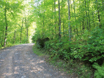 Lot 25 Alpine Shores Dr, Hurley, WI 54565