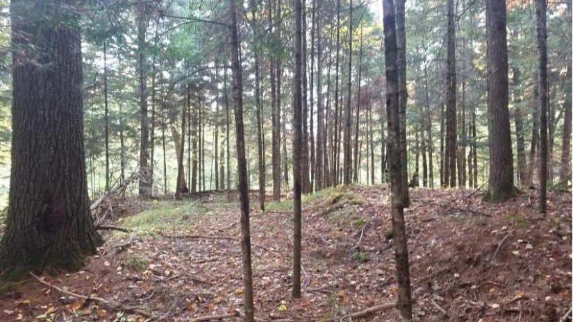 Lot 2 Hwy 70 Lac Du Flambeau, WI 54538 by Redman Realty Group, Llc $24,900