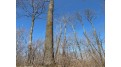 On Will Rd 40 Acres Mellen, WI 54546 by Birchland Realty, Inc - Park Falls $114,900