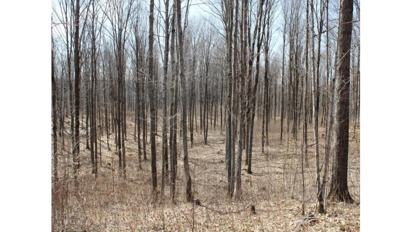 On Will Rd 40 Acres Mellen, WI 54546 by Birchland Realty, Inc - Park Falls $114,900