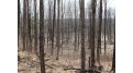 On Will Rd 40 Acres Mellen, WI 54546 by Birchland Realty, Inc - Park Falls $114,900