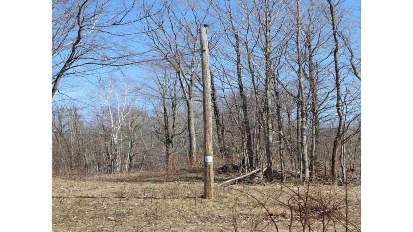 On Will Rd 40 Acres Mellen, WI 54546 by Birchland Realty, Inc - Park Falls $114,900