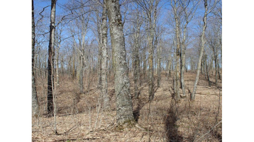 On Will Rd 40 Acres Mellen, WI 54546 by Birchland Realty, Inc - Park Falls $114,900