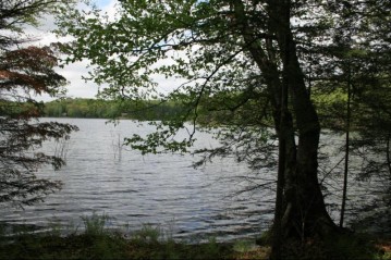 Tbd Sucker Lake Rd 4, Watersmeet, MI 49969