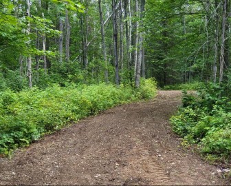 Tbd Dream Lake Rd Lot 3, Tipler, WI 54542