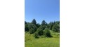 On Boyer Rd Lot 6 Mercer, WI 54547 by Century 21 Pierce Realty - Mercer $52,000