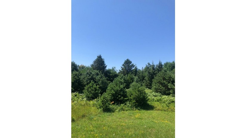 On Boyer Rd Lot 6 Mercer, WI 54547 by Century 21 Pierce Realty - Mercer $52,000