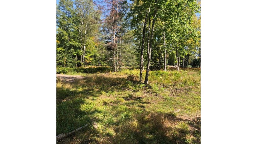 Lot 2 Mercer Lake Cr S Mercer, WI 54547 by Century 21 Pierce Realty - Mercer $32,000