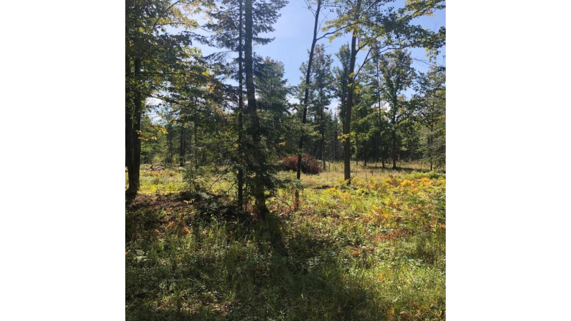 Lot 2 Mercer Lake Cr S Mercer, WI 54547 by Century 21 Pierce Realty - Mercer $32,000