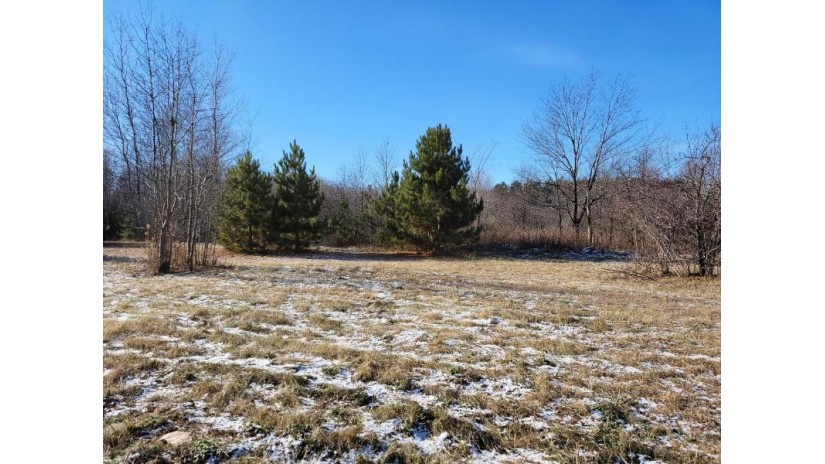 Lot 10 Hwy 45 Antigo, WI 54409 by Wolf River Realty $95,000