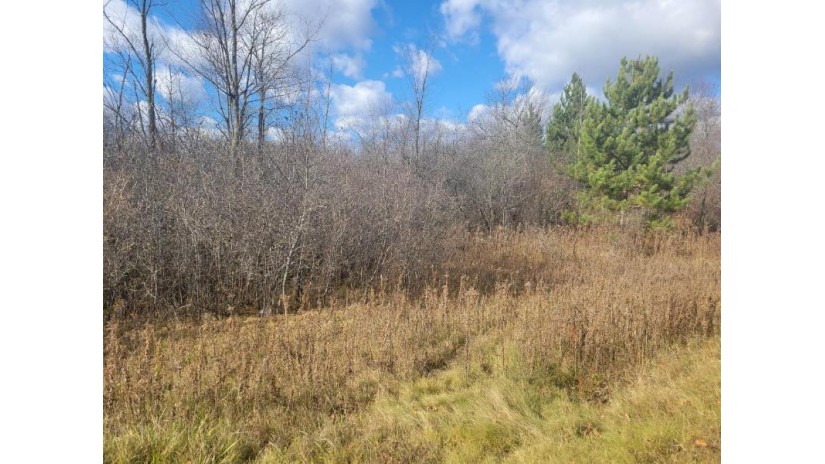 Lot 9 Kautza Dr Antigo, WI 54409 by Wolf River Realty $45,000