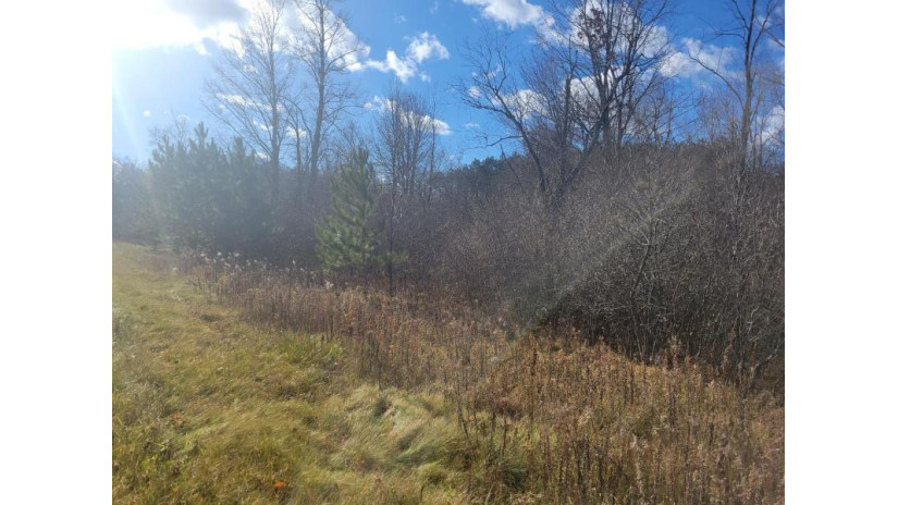 Lot 9 Kautza Dr Antigo, WI 54409 by Wolf River Realty $45,000