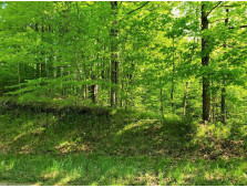 Lot #8 Klug Ln, Athelstane, WI 54104