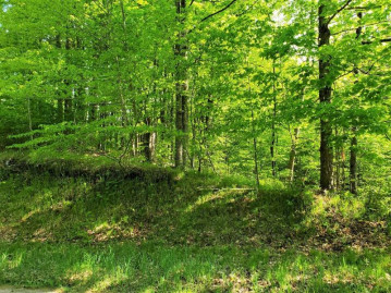 Lot #8 Klug Ln, Silver Cliff, WI 54104