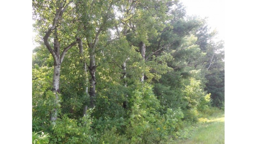 On Cth J Kennan, WI 54537 by Birchland Realty, Inc. - Phillips $55,500