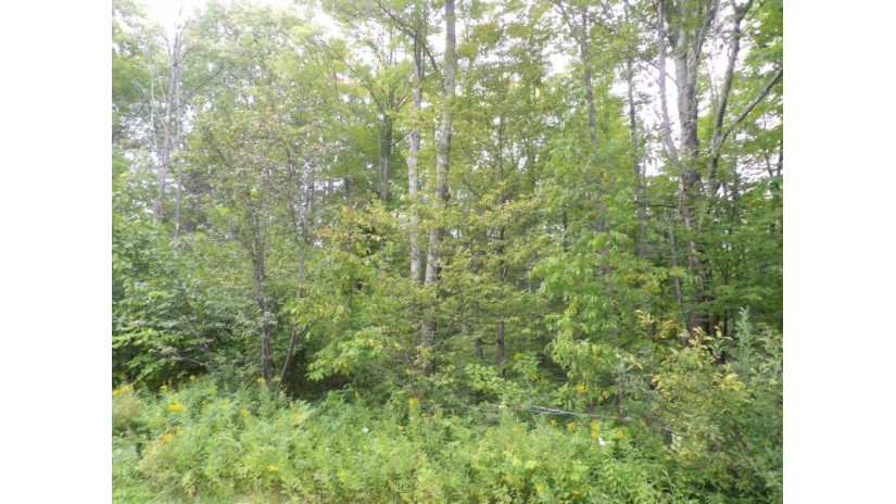 On Cth J Kennan, WI 54537 by Birchland Realty, Inc. - Phillips $55,500