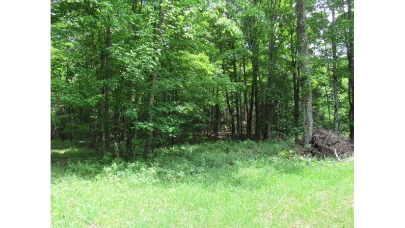 Tbd Plantation Ln Crandon, WI 54520 by Coldwell Banker Real Estate Group $125,000